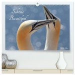 Schöne Basstölpel (hochwertiger Premium Wandkalender 2026 DIN A2 quer), Kunstdruck in Hochglanz