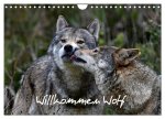 Willkommen Wolf (Wandkalender 2026 DIN A4 quer), CALVENDO Monatskalender