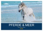 PFERDE & MEER (Wandkalender 2026 DIN A3 quer), CALVENDO Monatskalender