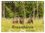 Braunbären in Europa (Tischkalender 2026 DIN A5 quer), CALVENDO Monatskalender