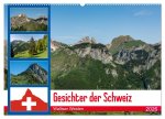 Gesichter der Schweiz - Walliser Weiden (Wandkalender 2026 DIN A2 quer), CALVENDO Monatskalender