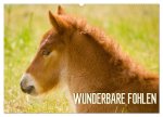 Wunderbare Fohlen (Wandkalender 2026 DIN A2 quer), CALVENDO Monatskalender