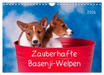 Zauberhafte Basenji-Welpen (Wandkalender 2026 DIN A4 quer), CALVENDO Monatskalender