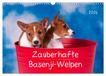 Zauberhafte Basenji-Welpen (Wandkalender 2026 DIN A3 quer), CALVENDO Monatskalender