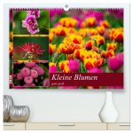 Kleine Blumen ganz groß (hochwertiger Premium Wandkalender 2026 DIN A2 quer), Kunstdruck in Hochglanz