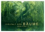 Vielfalt der Bäume - variety of trees (Wandkalender 2026 DIN A4 quer), CALVENDO Monatskalender