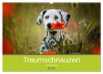 Traumschnauzen (Wandkalender 2026 DIN A2 quer), CALVENDO Monatskalender