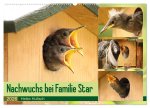 Nachwuchs bei Familie Star (Wandkalender 2026 DIN A2 quer), CALVENDO Monatskalender