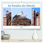 Im Paradies der Störche - Dorfkirchen als Storchkirchen in Ostpreußen (hochwertiger Premium Wandkalender 2026 DIN A2 quer), Kunstdruck in Hochglanz