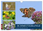 Schmetterlinge auf der Schwäbischen Alb (Wandkalender 2026 DIN A4 quer), CALVENDO Monatskalender