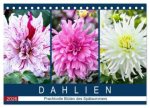 Dahlien - Prachtvolle Blüten des Spätsommers (Tischkalender 2026 DIN A5 quer), CALVENDO Monatskalender