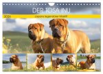 Der Tosa Inu. Japans legendärer Mastiff (Wandkalender 2026 DIN A4 quer), CALVENDO Monatskalender
