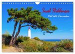 Insel Hiddensee - Dat söte Länneken (Wandkalender 2026 DIN A4 quer), CALVENDO Monatskalender