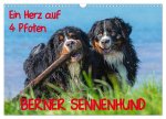 Ein Herz auf 4 Pfoten - Berner Sennenhund (Wandkalender 2026 DIN A3 quer), CALVENDO Monatskalender