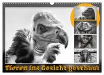 Tieren ins Gesicht geschaut (Wandkalender 2026 DIN A3 quer), CALVENDO Monatskalender