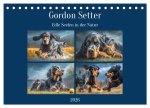 Gordon Setter. Edle Seelen in der Natur (Tischkalender 2026 DIN A5 quer), CALVENDO Monatskalender