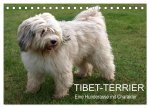 Tibet-Terrier - Eine Hunderasse mit Charakter (Tischkalender 2026 DIN A5 quer), CALVENDO Monatskalender