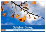 Geliebter Ginkgo (Wandkalender 2026 DIN A3 quer), CALVENDO Monatskalender