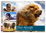 Tibet Mastiffs. Stolze Seelen im Wind der Berge (Wandkalender 2026 DIN A4 quer), CALVENDO Monatskalender