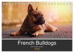 French Bulldog aktiv, verspielt, sportlich (Tischkalender 2026 DIN A5 quer), CALVENDO Monatskalender