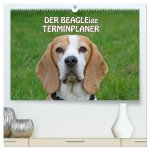 DER BEAGLEige TERMINPLANER (hochwertiger Premium Wandkalender 2026 DIN A2 quer), Kunstdruck in Hochglanz