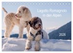 Lagotto Romagnolo in den Alpen 2026 (Tischkalender 2026 DIN A5 quer), CALVENDO Monatskalender
