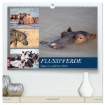 Hippos im südlichen Afrika (hochwertiger Premium Wandkalender 2026 DIN A2 quer), Kunstdruck in Hochglanz