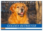 Golden Retriever - Freunde auf 4 Pfoten (Tischkalender 2026 DIN A5 quer), CALVENDO Monatskalender