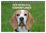 DER BEAGLEige TERMINPLANER (Tischkalender 2026 DIN A5 quer), CALVENDO Monatskalender