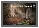 Waldgeheimnisse (Wandkalender 2026 DIN A2 quer), CALVENDO Monatskalender