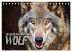 Begegnung mit dem Wolf (Tischkalender 2026 DIN A5 quer), CALVENDO Monatskalender