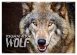 Begegnung mit dem Wolf (Wandkalender 2026 DIN A2 quer), CALVENDO Monatskalender