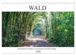 Wald - bezaubernde Wälder (Wandkalender 2026 DIN A4 quer), CALVENDO Monatskalender