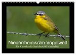 Niederrheinische Vogelwelt (Wandkalender 2026 DIN A3 quer), CALVENDO Monatskalender