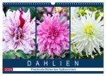 Dahlien - Prachtvolle Blüten des Spätsommers (Wandkalender 2026 DIN A3 quer), CALVENDO Monatskalender