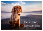 Dein Hund der treue Begleiter (Wandkalender 2026 DIN A2 quer), CALVENDO Monatskalender