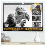 Tieren ins Gesicht geschaut (hochwertiger Premium Wandkalender 2026 DIN A2 quer), Kunstdruck in Hochglanz