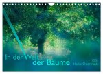 In der Welt der Bäume (Wandkalender 2026 DIN A4 quer), CALVENDO Monatskalender