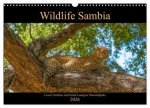 Wildlife Sambia (Wandkalender 2026 DIN A3 quer), CALVENDO Monatskalender