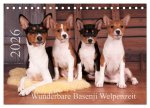 Wunderbare Basenji Welpenzeit (Tischkalender 2026 DIN A5 quer), CALVENDO Monatskalender