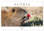 NUTRIA mit Nachwuchs (Wandkalender 2026 DIN A2 quer), CALVENDO Monatskalender