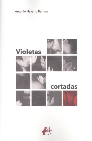 Violetas cortadas