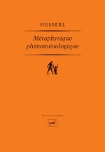 Métaphysique phénoménologique