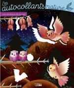 AUTOCO NAT LES ANIMAUX DE LA N