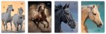 Zeszyt w kratkę. A5 16k 70g. Wild Horses