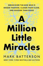 MILLION LITTLE MIRACLES