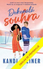 Dokonalá souhra
