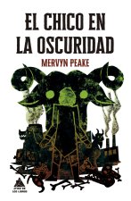 El chico en la oscuridad