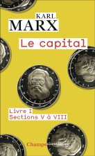 Le Capital - Livre I, sections V à VIII