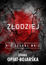 Złodziej. Nie szukaj mnie. Tom 1